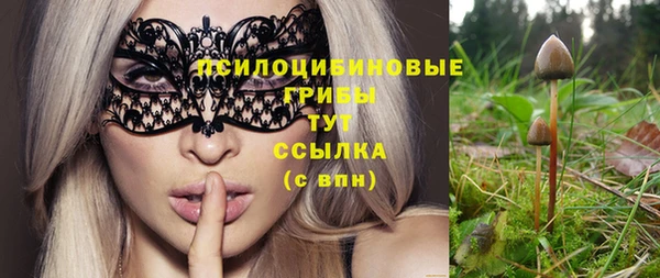 кокс Белокуриха