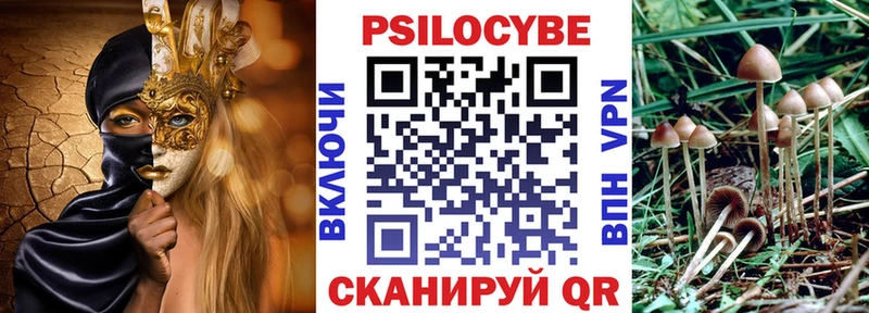 Галлюциногенные грибы GOLDEN TEACHER что такое наркотик Зарайск